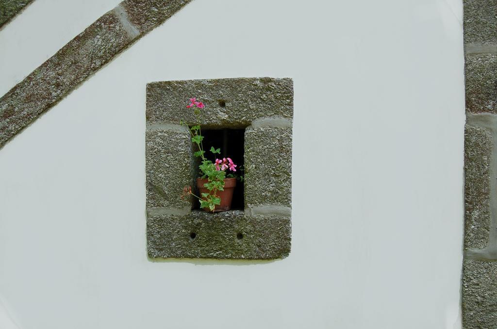 Séjour à la campagne Casa De Alfena